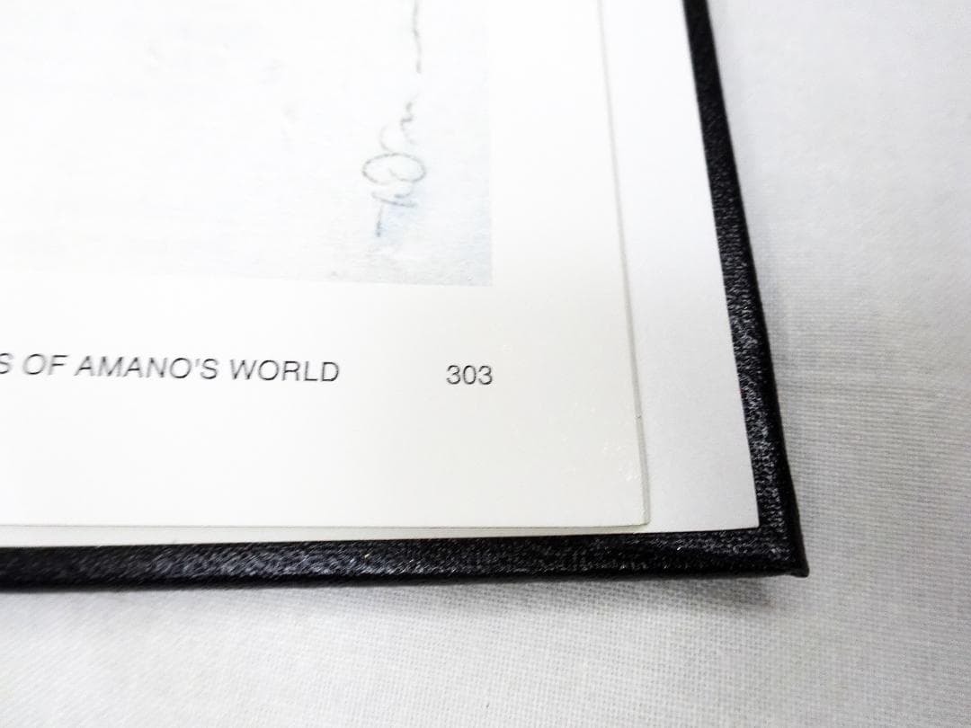 #天野喜孝 #COLLECTED PAINTINGS OF AMANO'S