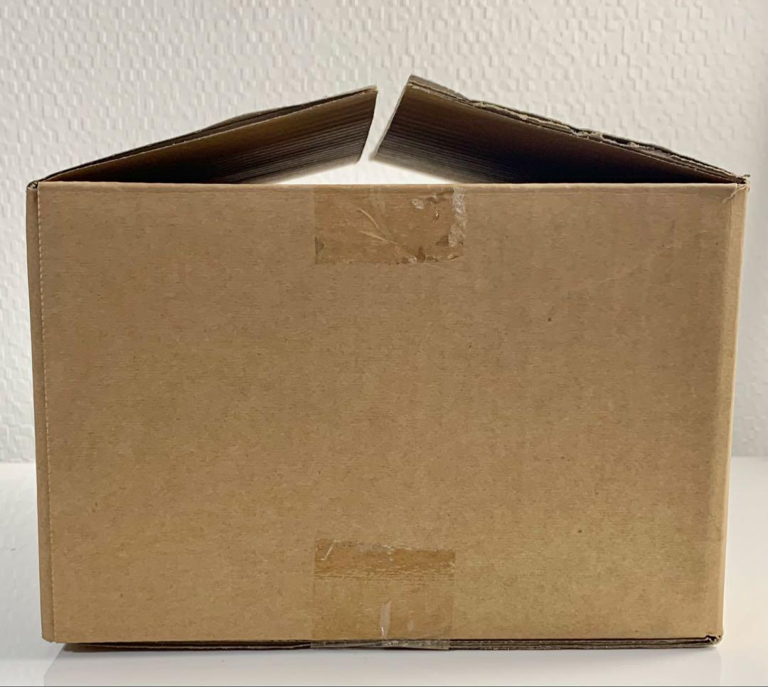 酒井ゆうじ造形工房　ゴジラ vs モスラ 20cm レジンキット