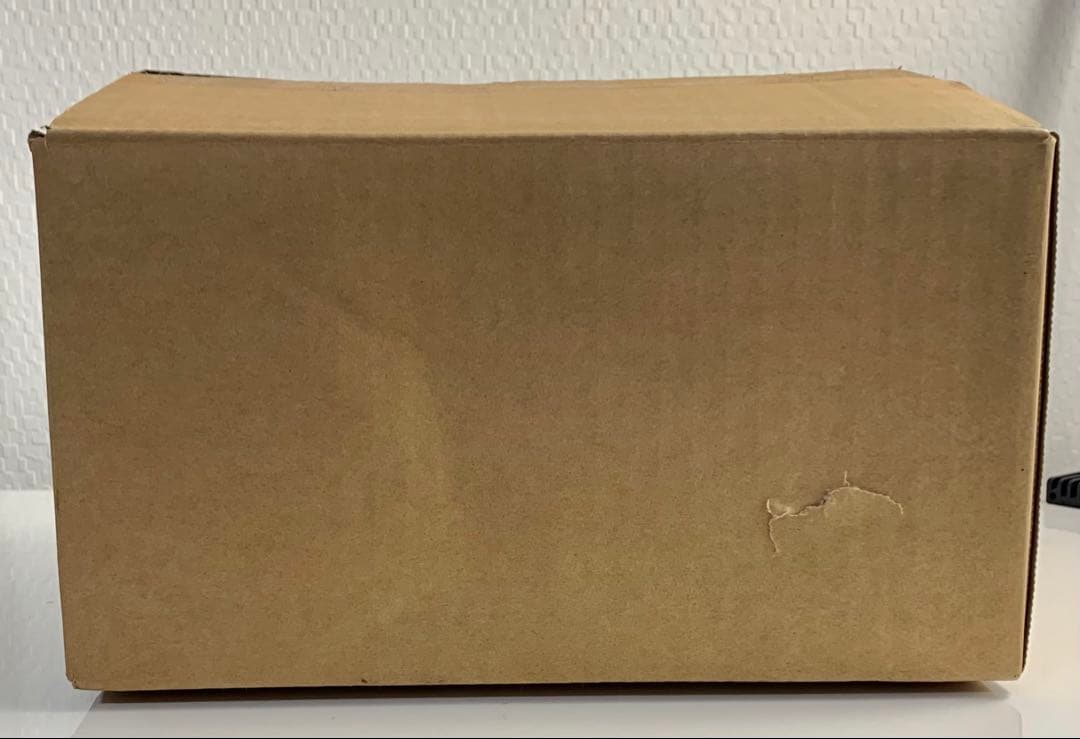 酒井ゆうじ造形工房　ゴジラ vs モスラ 20cm レジンキット