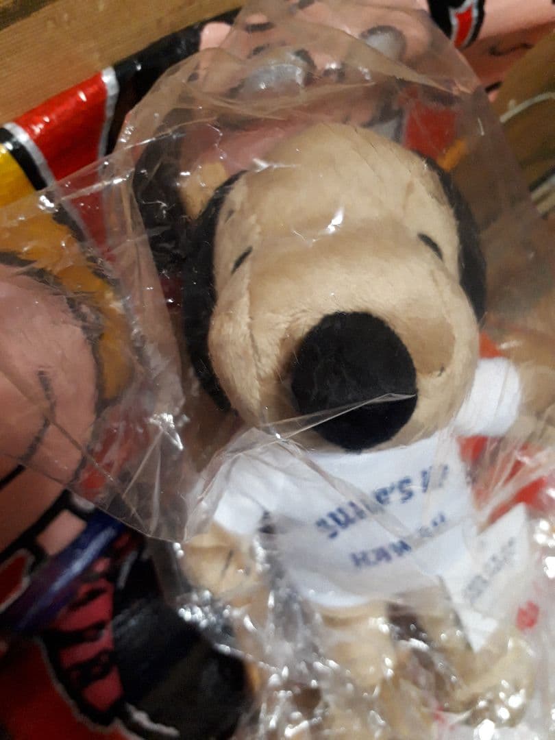 スヌーピーHAWAII ぬいぐるみSURF'S UP moni　　　レア！！