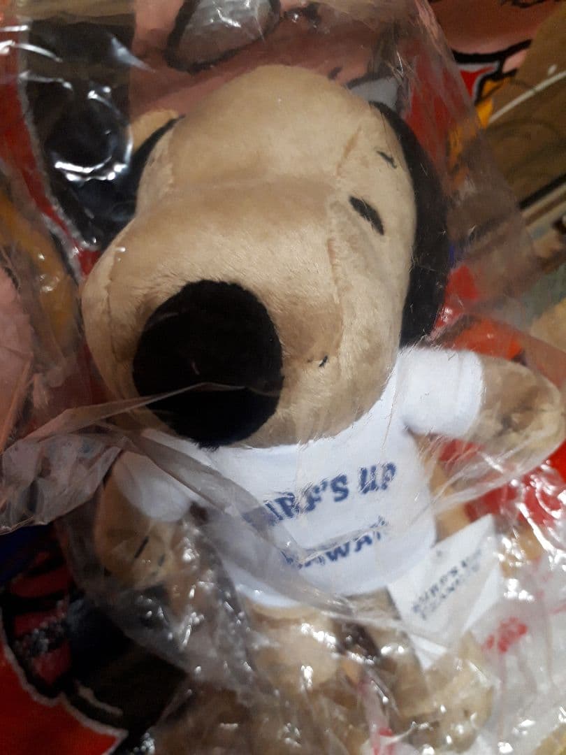 スヌーピーHAWAII ぬいぐるみSURF'S UP moni　　　レア！！