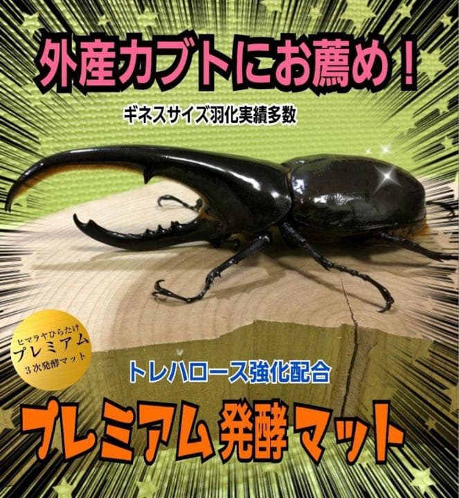 極上☆ギネス狙いに！プレミアム3次発酵カブトムシマット【5袋】特殊アミノ酸強化！