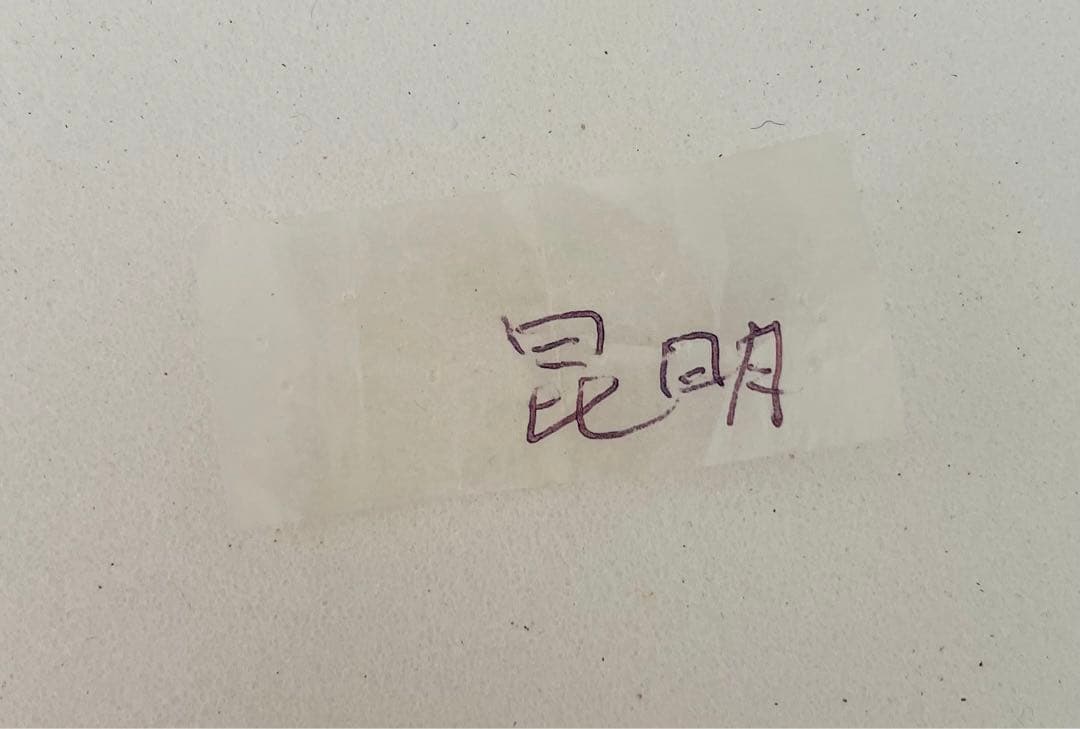 プルトニウスジャコウ（ペア・中国雲南省）