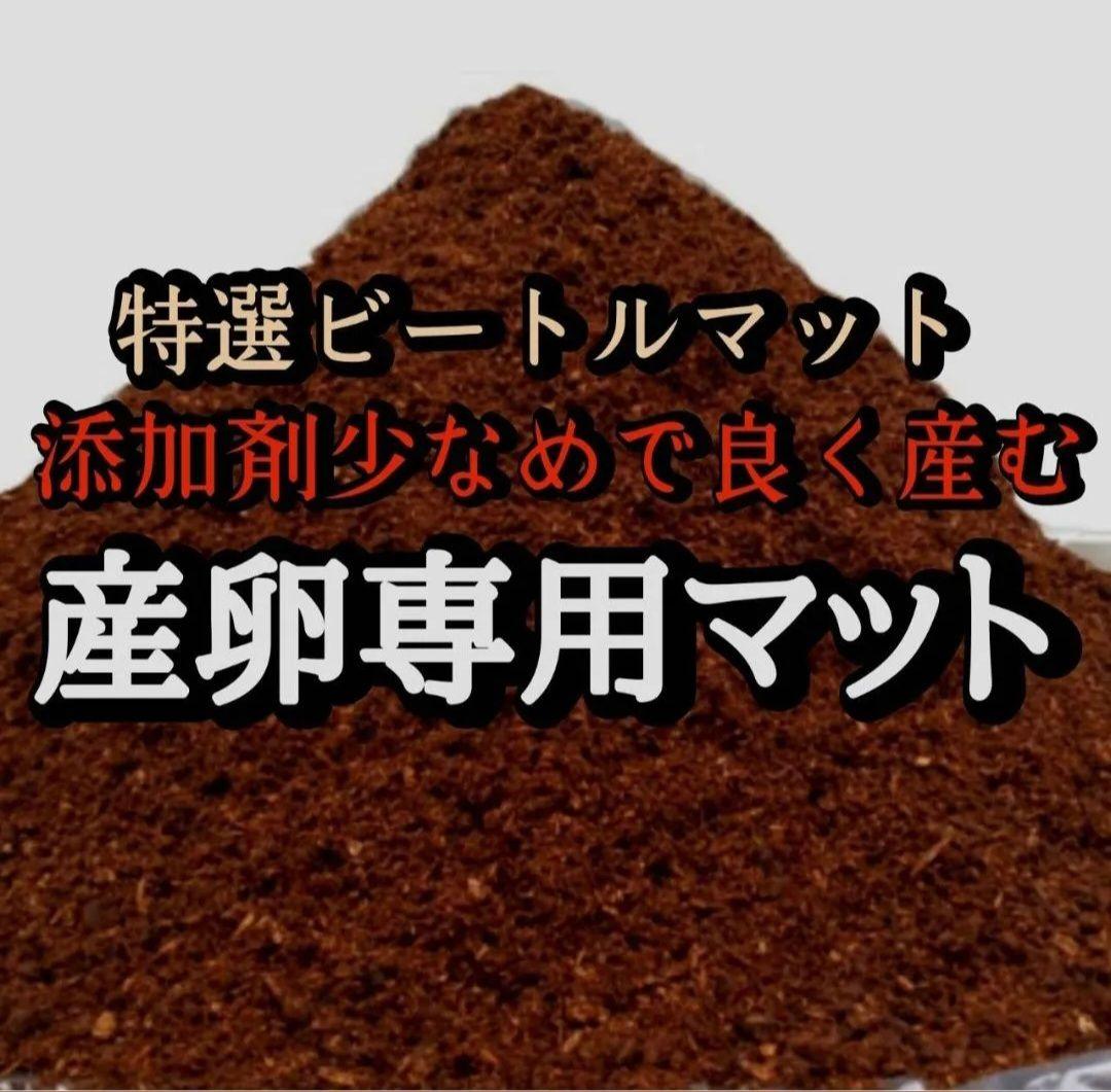 カブトムシの産卵専用　特選ビートルマット【60L】添加剤少なめで産卵意欲が高まる