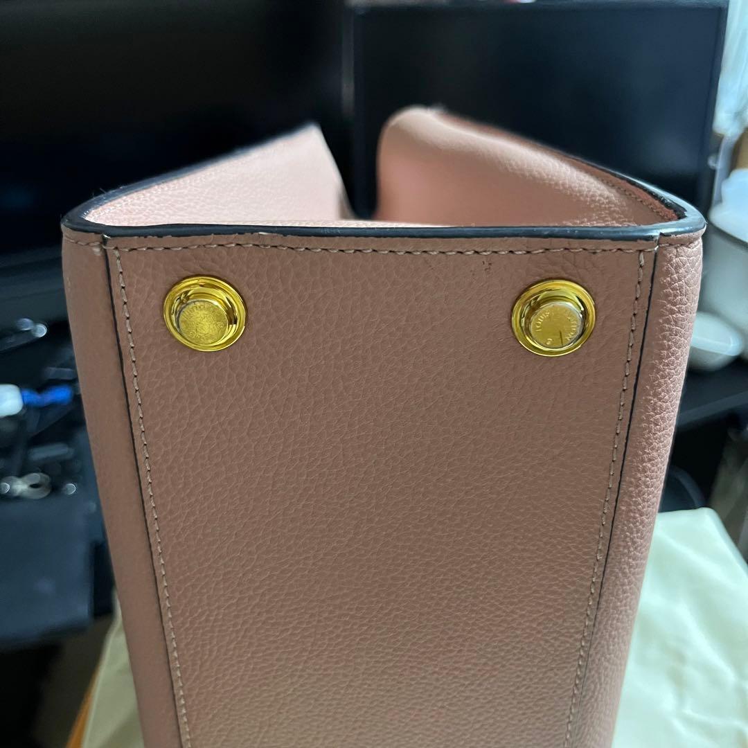 【美品】ルイヴィトン　シティスティーマーPM