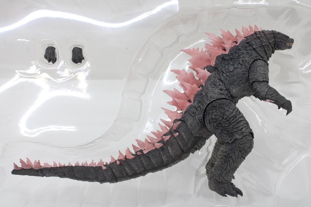 ハイヤトイズ ゴジラ Evolved Ver. 30-EY0926-15