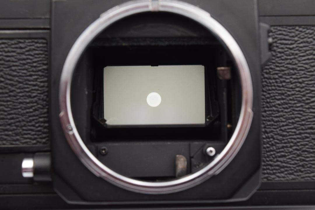 Canon New F-1 ボディ（フィルム一眼レフカメラ）#CB001