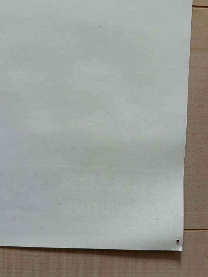 デビルメイクライ　B2 販促ポスター