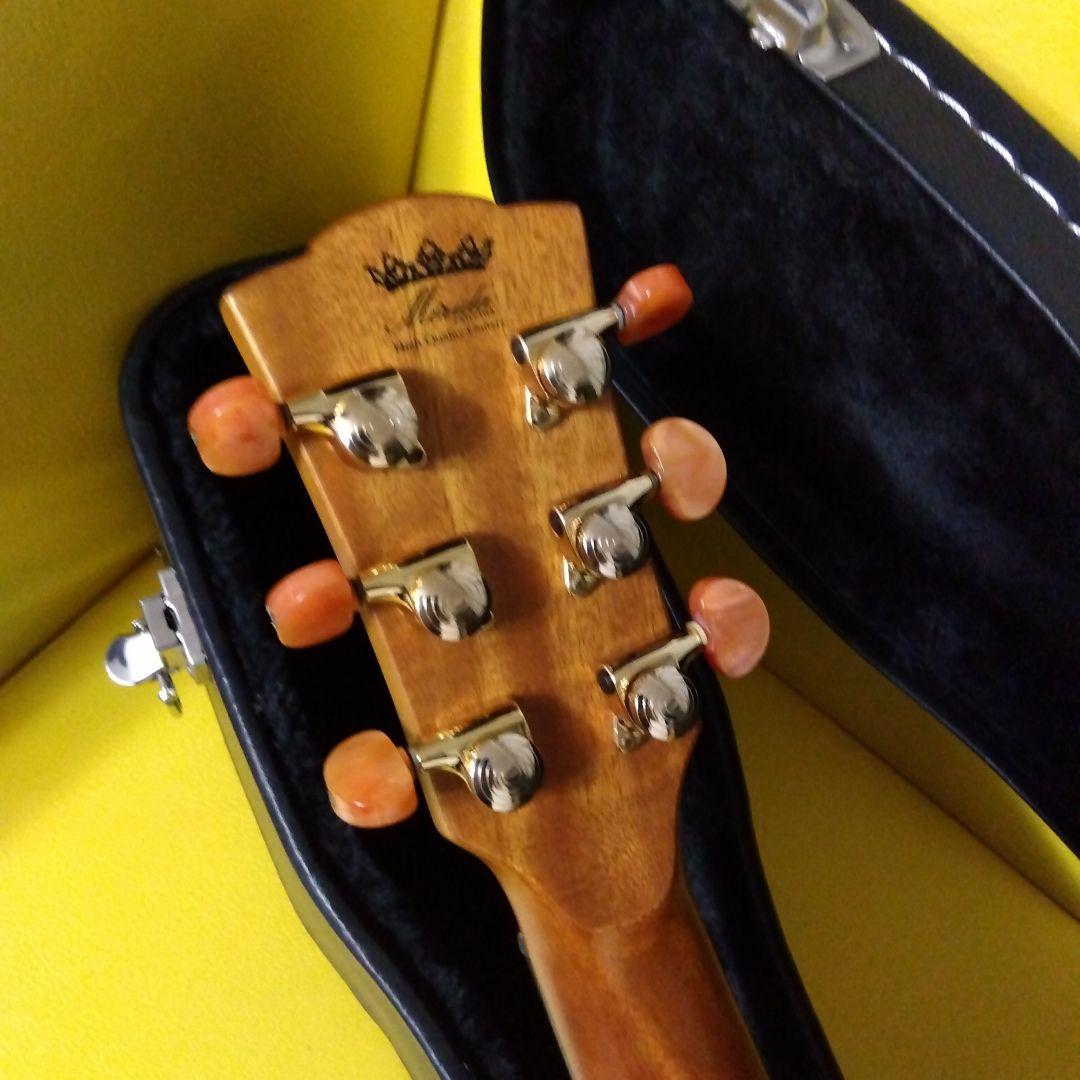 MERIDA　diana dc15 FISHMAN搭載エレアコ　ハードケース付