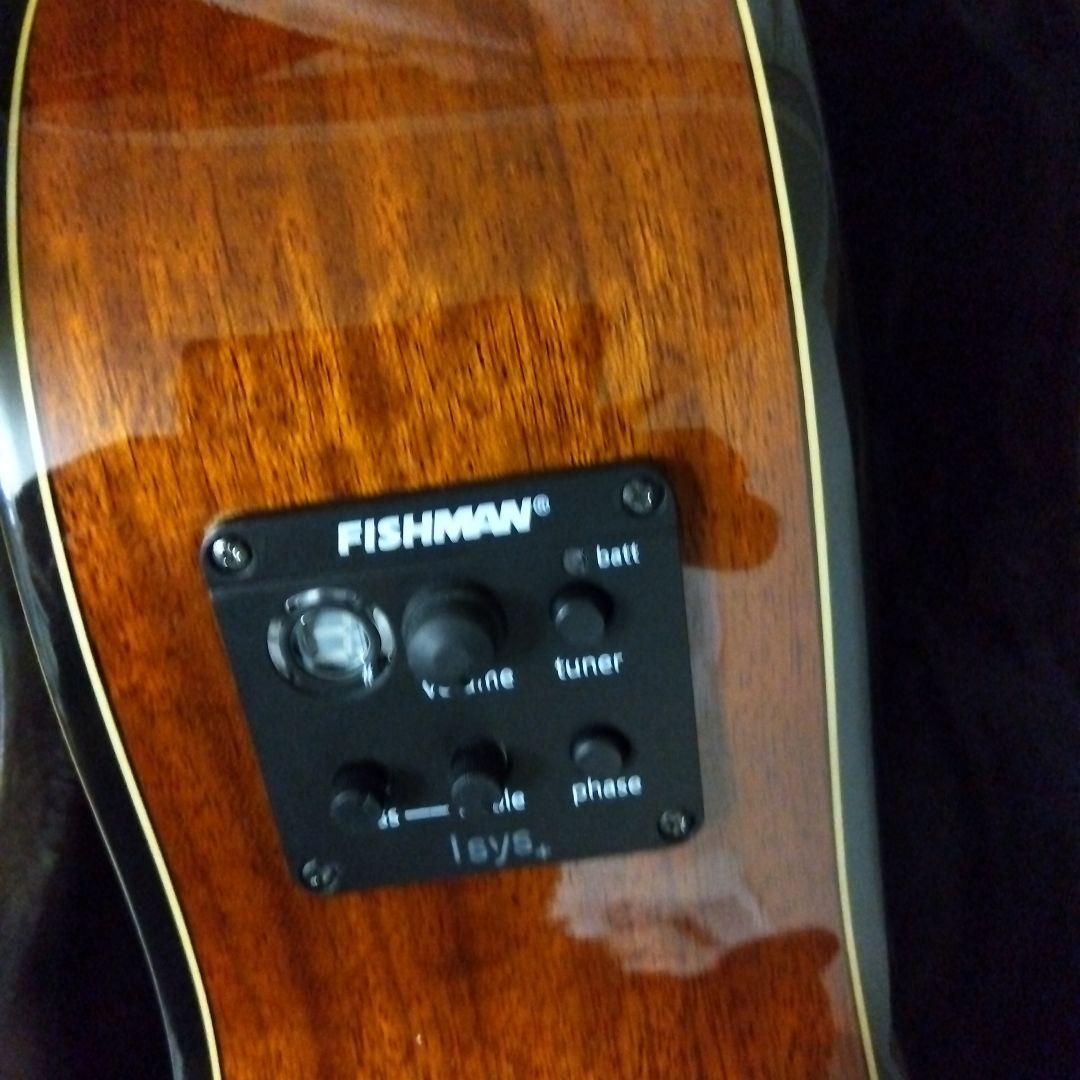 MERIDA　diana dc15 FISHMAN搭載エレアコ　ハードケース付