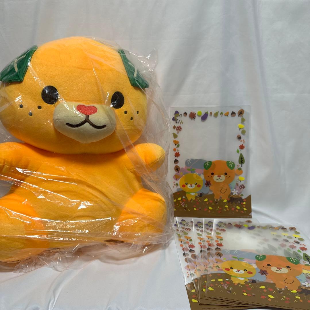 みきゃん　特大ぬいぐるみ　クリアファイル