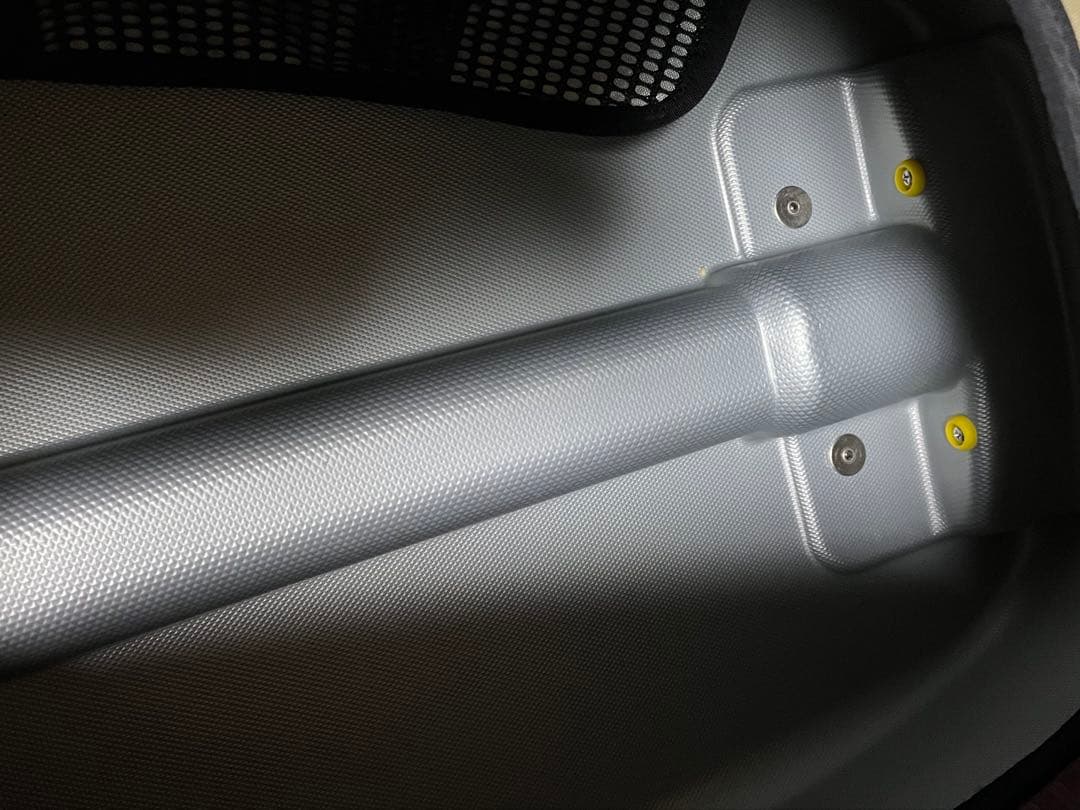 廃盤　パタゴニア　キャリーケース　ボルドー