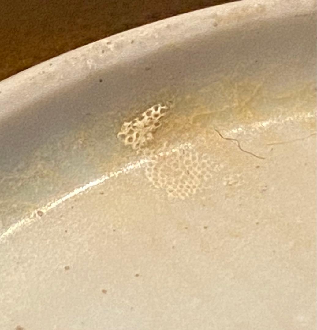 景徳鎮窯　染付絵皿　鑑賞台付 ・沈船品　ヴィンテージ　レア ・台湾茶器