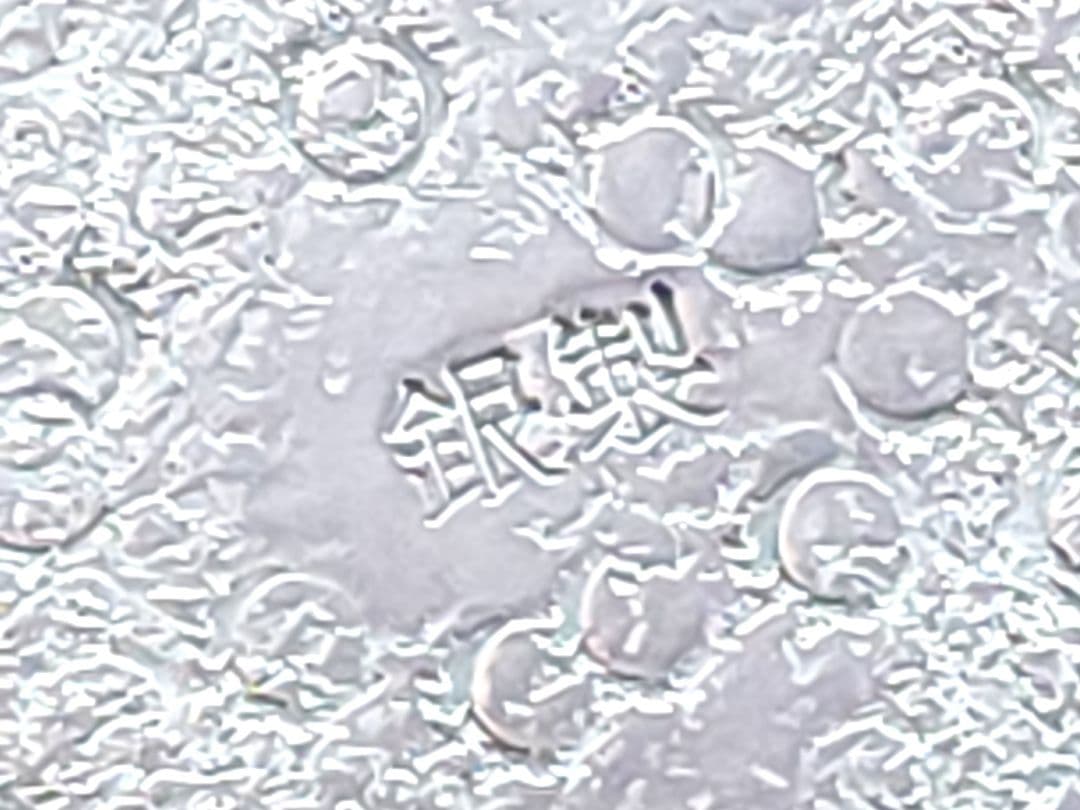 銀製　酒器セット 酒注と猪口 総重量：約279.23g