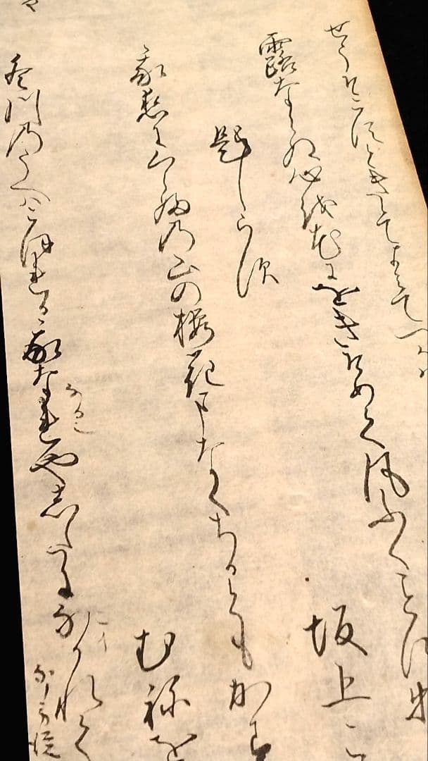 【古筆589-591】古今和歌集 紀貫之 松平不昧公正室落款入 古文書茶道掛軸