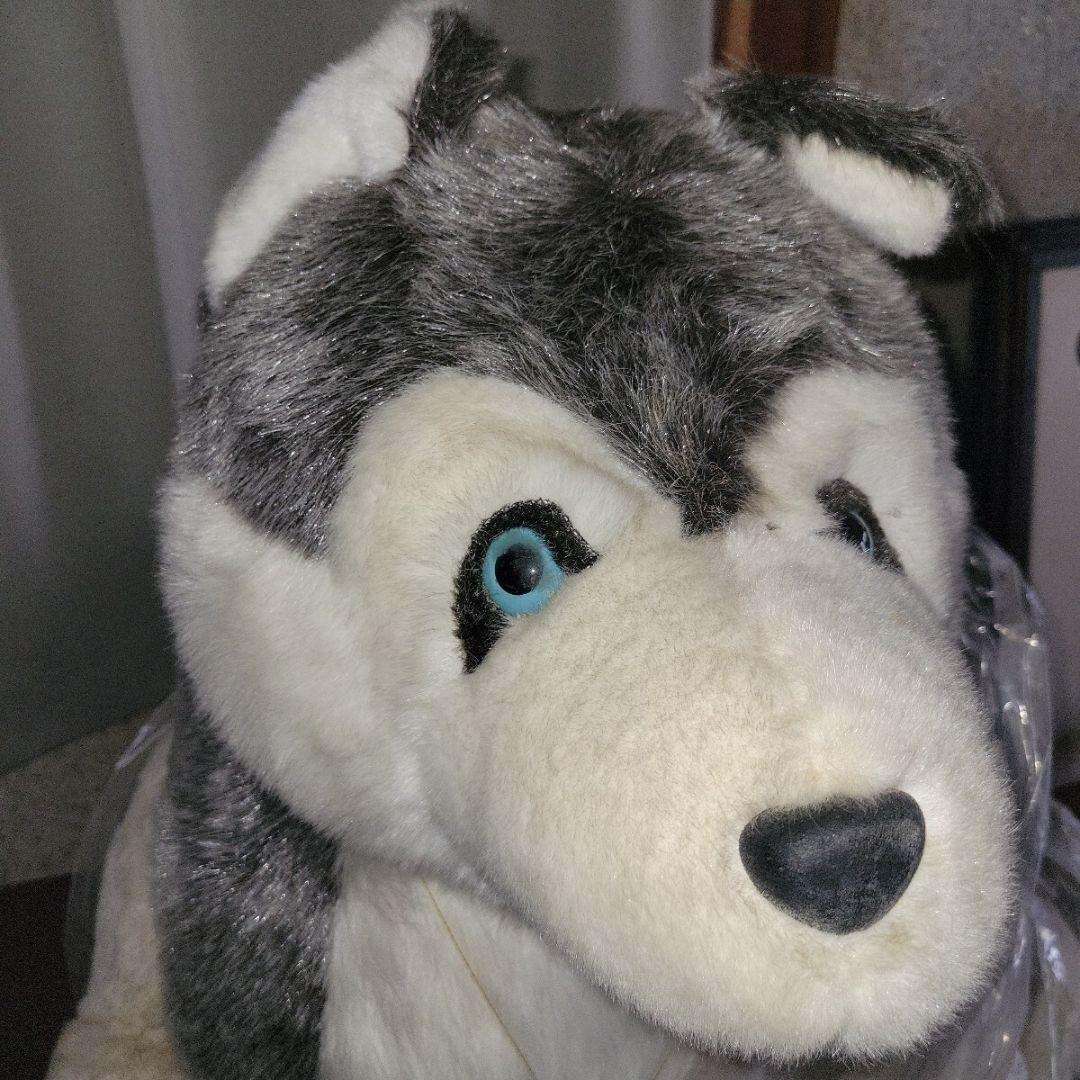 HIROKUN HOUSE ハスキー犬 ぬいぐるみ 特大