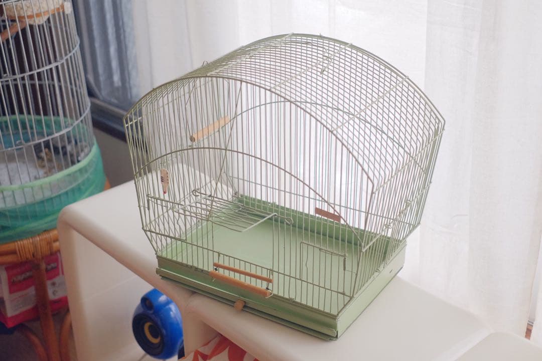 アンティーク　鳥かご　バードケージ　kinsen ビンテージ　文鳥　小鳥　琴線