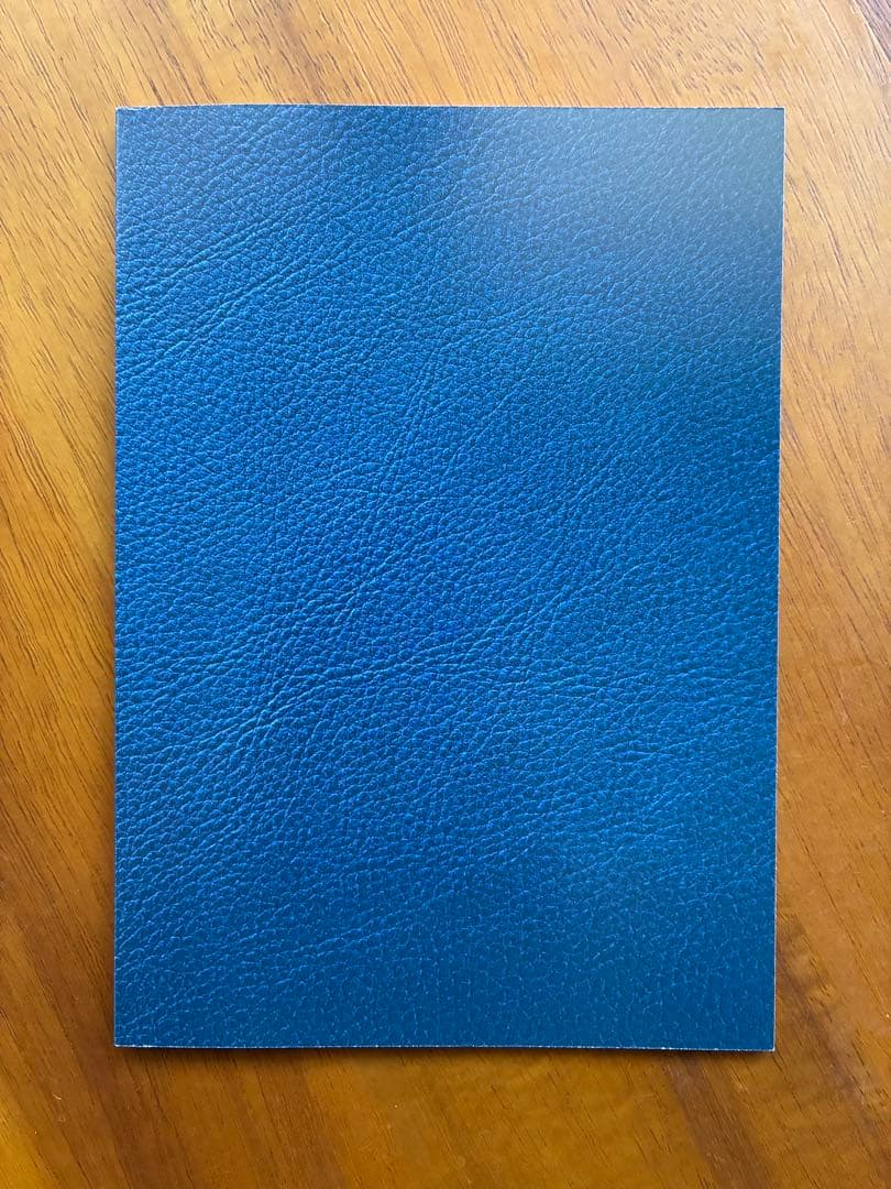 瀬戸口廉也『田淵さん』