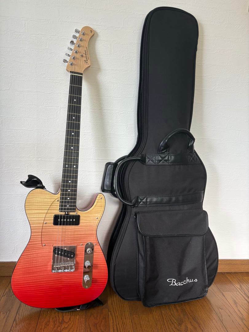 ギター Bacchus Craft Series made in Japan
