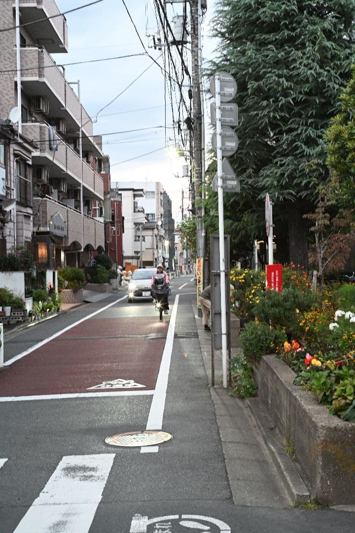 EL Nikkor 50mmf2.8 Nikon Zマウントアダプター付