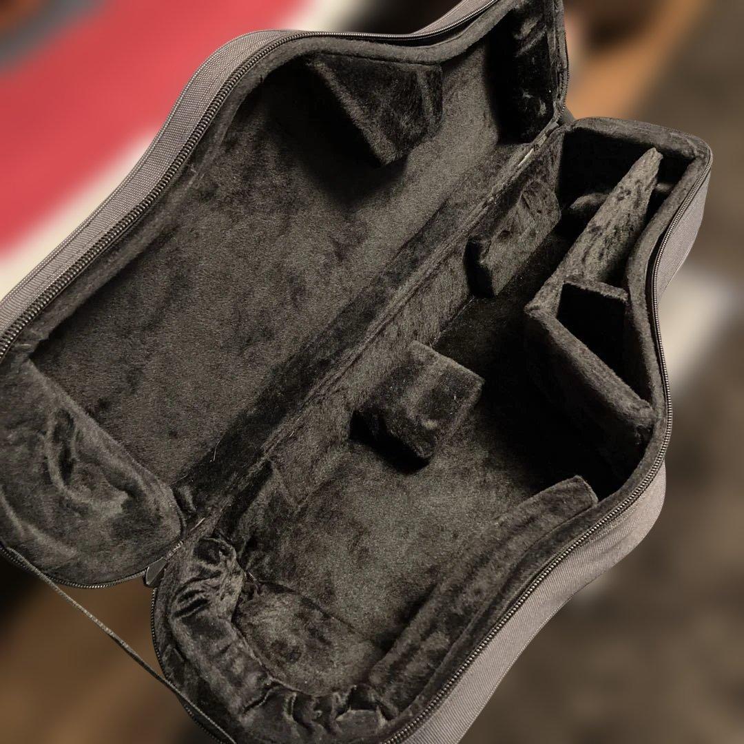 GATOR アルトサックスケース