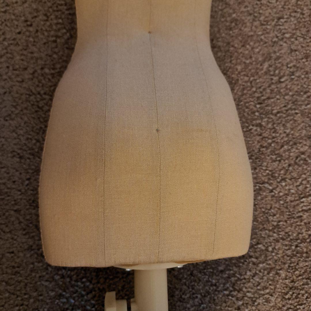 ボディ トルソー 文化 2分の1 （譲受後、未使用品）