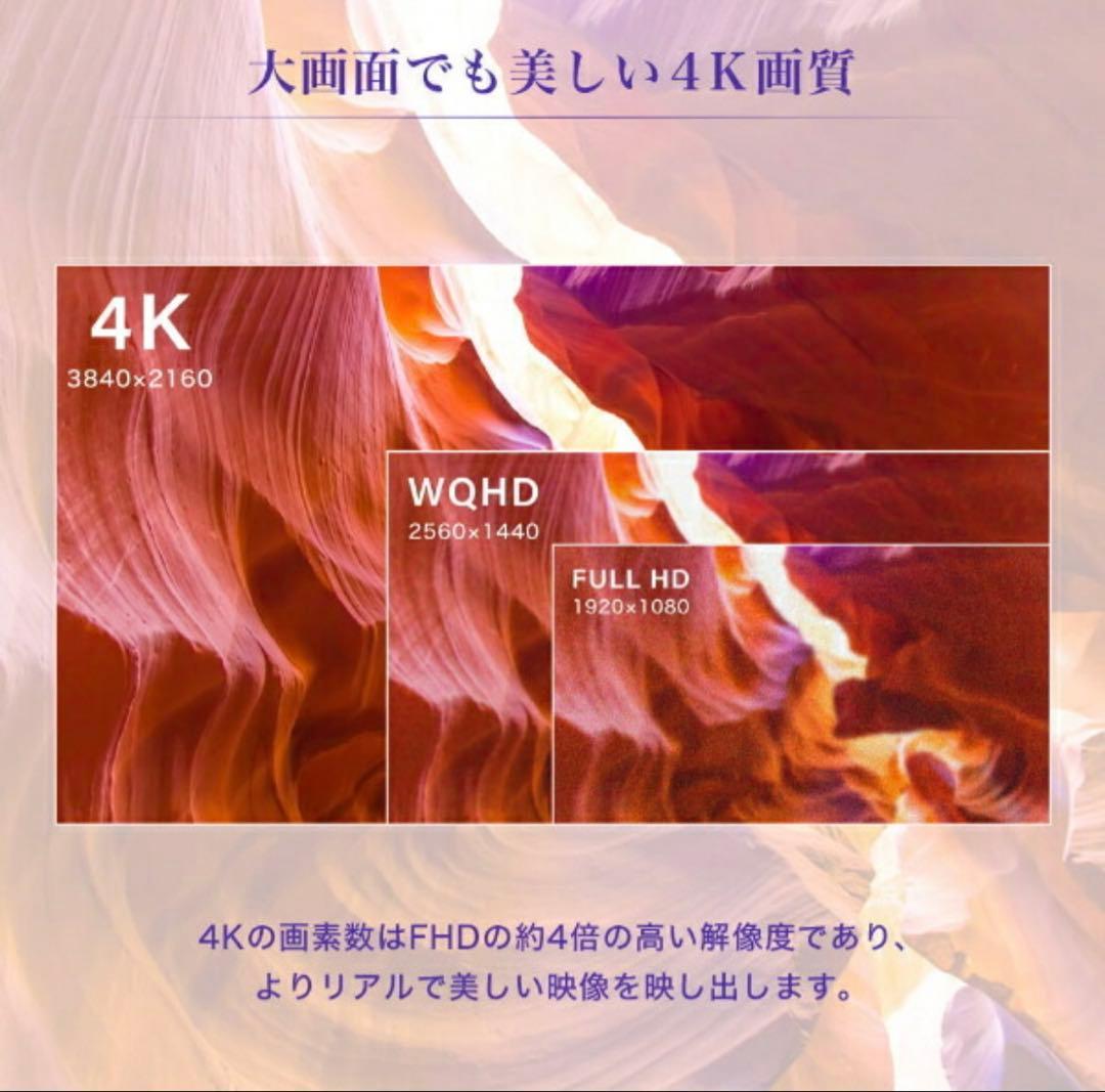 本日限定セール　LG 65インチ 4K スマートテレビ 65UR801COJB