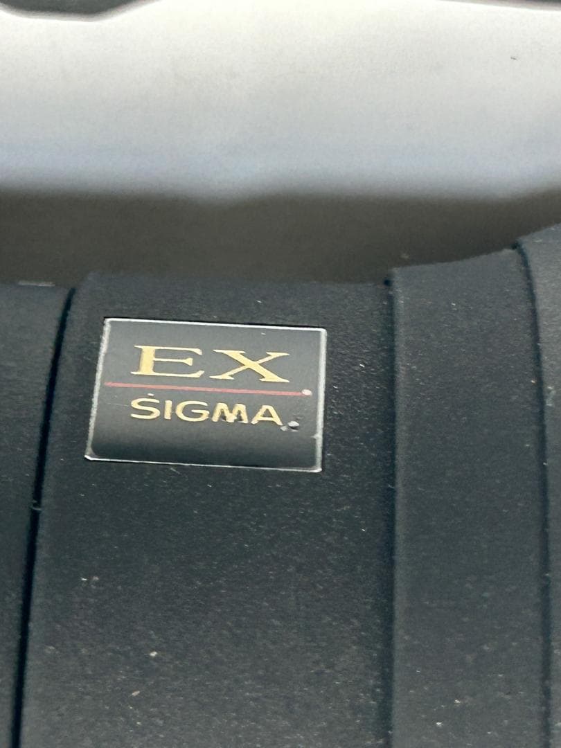 SIGMA 100-300mm F4 APO EX IF HSM 超望遠ズーム