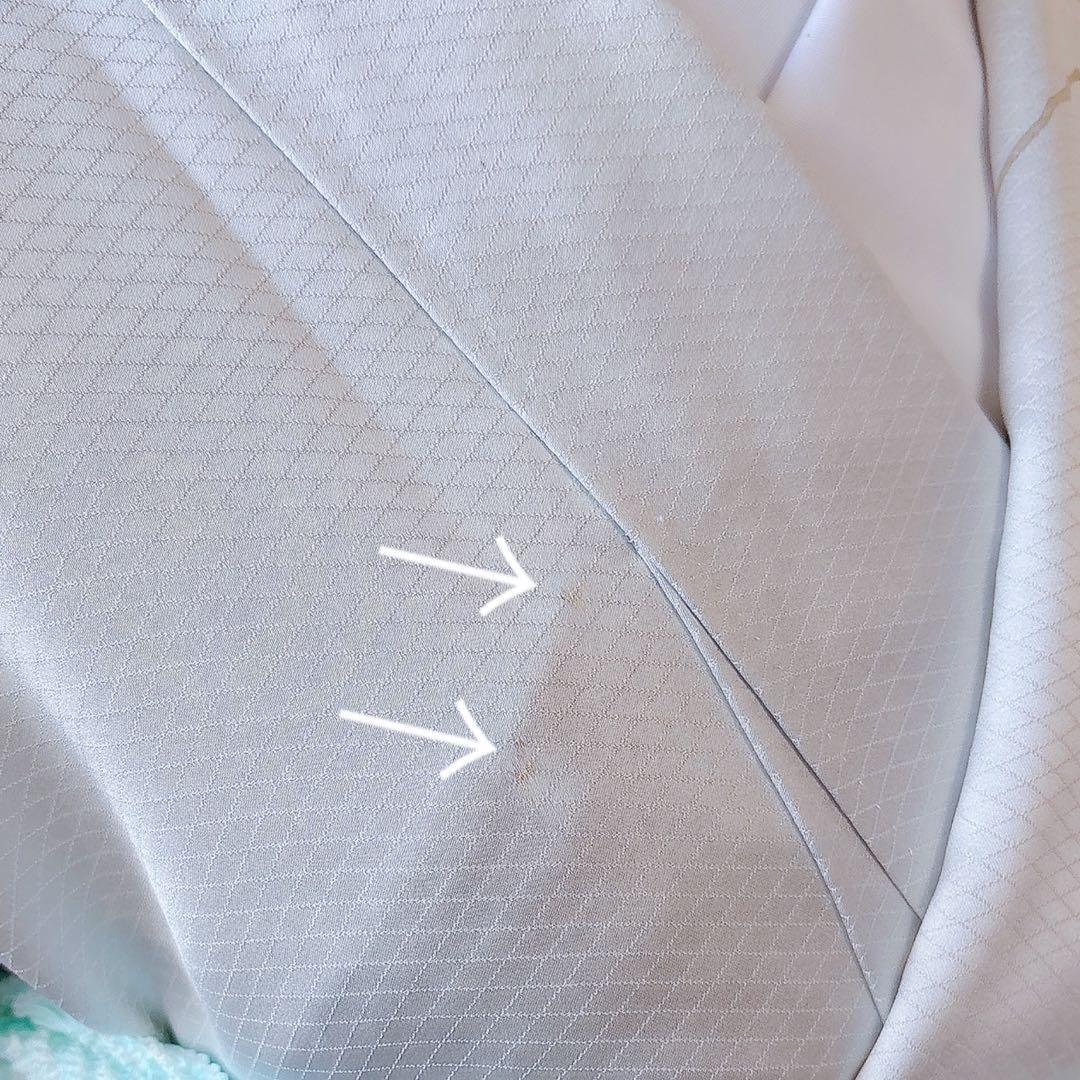 美品　訪問着　フルセット 本加賀友禅 裄66 葡萄 卒業式　入学式　M グレー