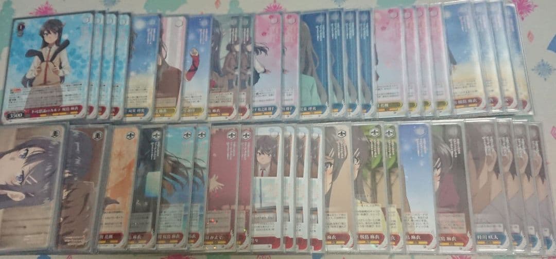 WS 青ブタ 8扉 デッキ