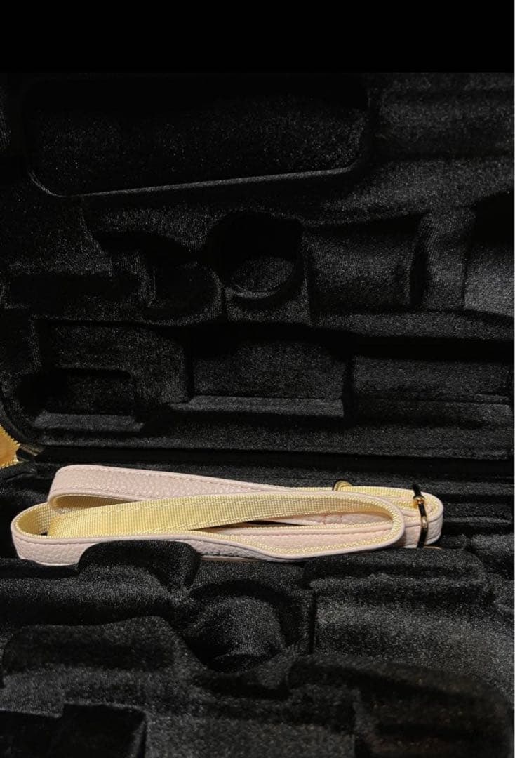 クラリネット軽量ケース　B♭ ピンク　新品　未使用