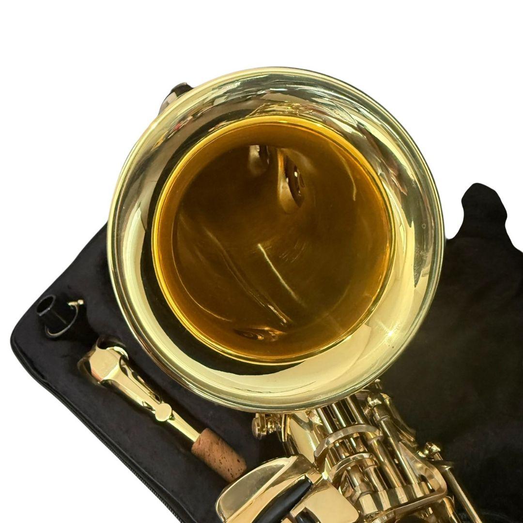 ケルントナー　アルトサックス　純正ケース Kaerntner