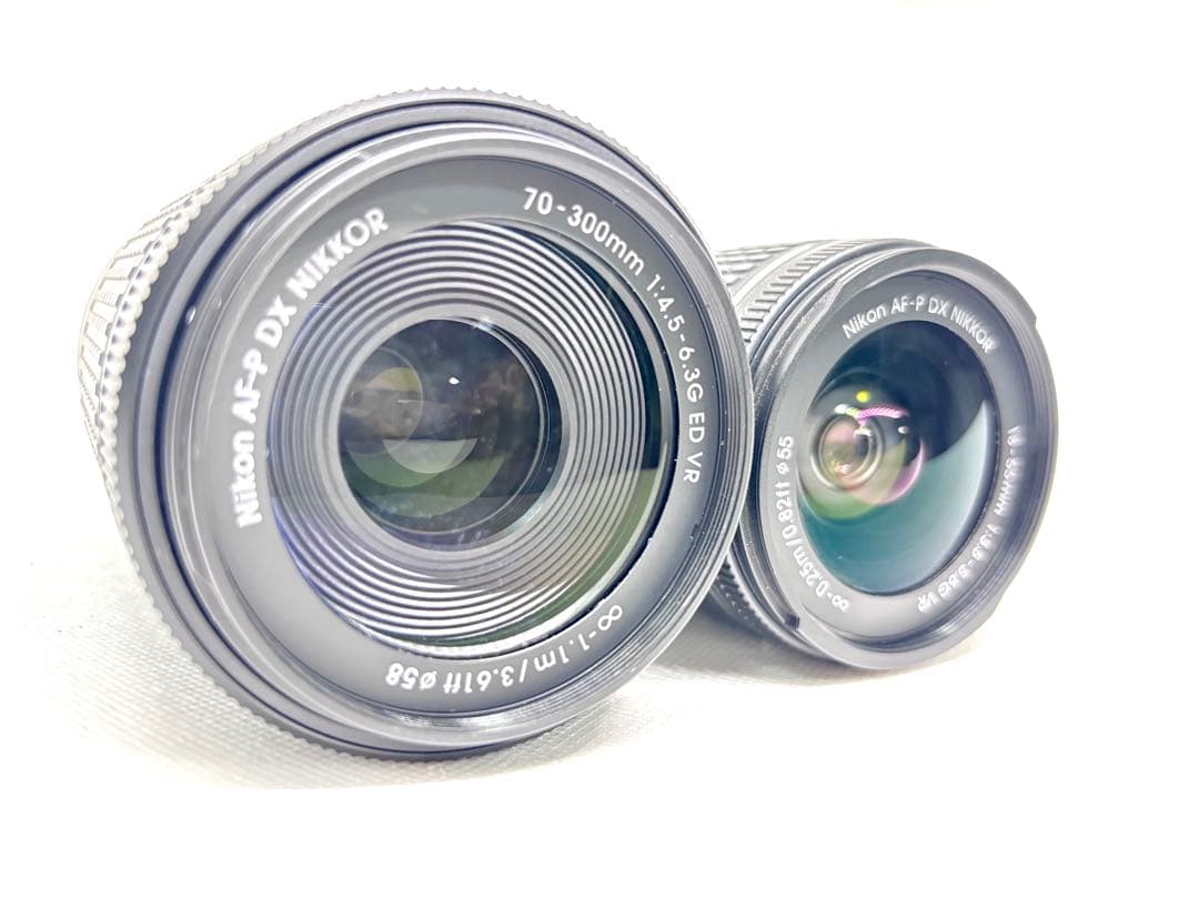 【美品、シャッター数2900回極小】ニコン Nikon D5600 ダブルズーム