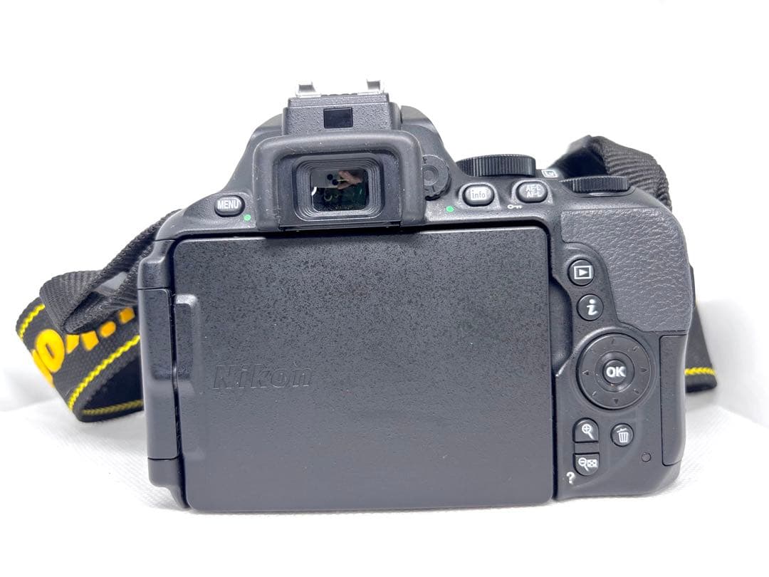 【美品、シャッター数2900回極小】ニコン Nikon D5600 ダブルズーム