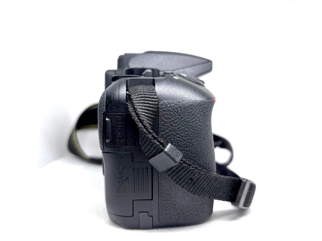 【美品、シャッター数2900回極小】ニコン Nikon D5600 ダブルズーム