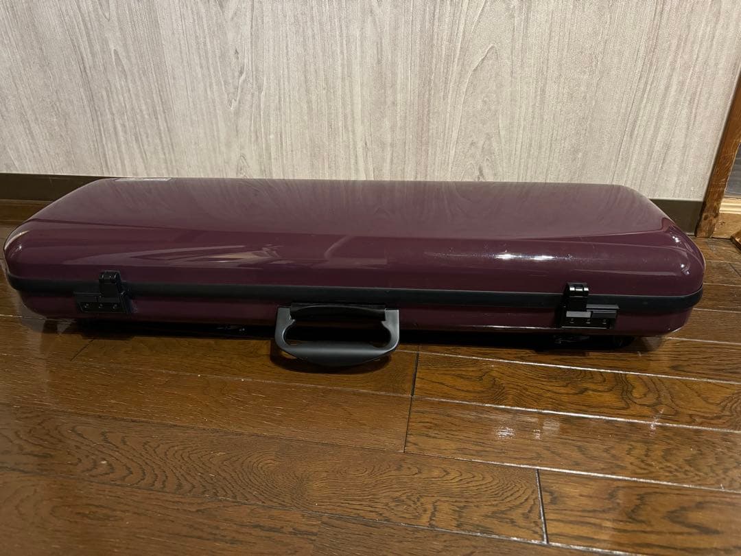 GEWA air 2.1 バイオリン4/4 オブロングケース