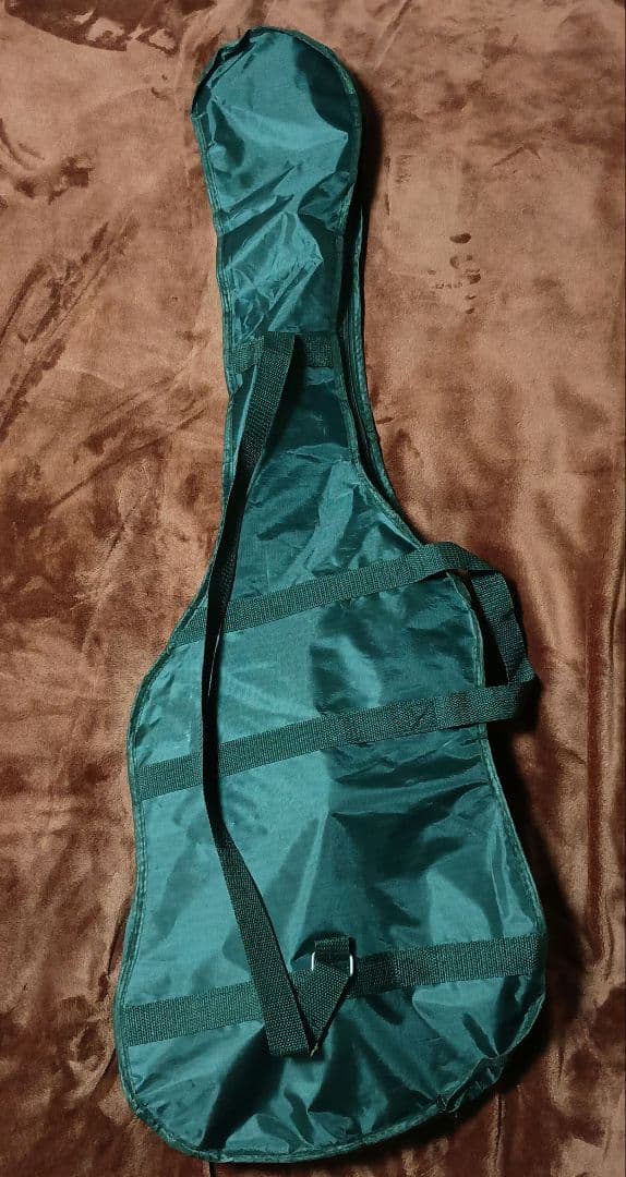 【最終値下げ品】エレキギター SELDERセルダー STC-04 マットブラック