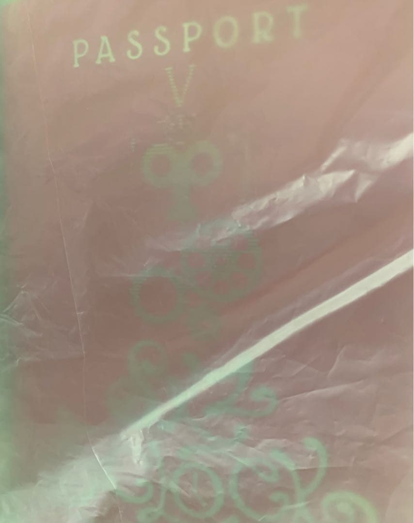 SKZOO スキズ　ペンミ　リノ　テディベア　REEL HOLDER トレカ付