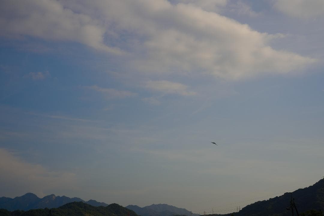 LEICA CL 50周年記念モデル / SUMMICRON-C 40mm f2