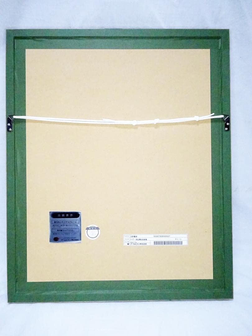 #天野喜孝 #オーダー原画 #吸血鬼ハンターD #共箱 #アールビバン保証書