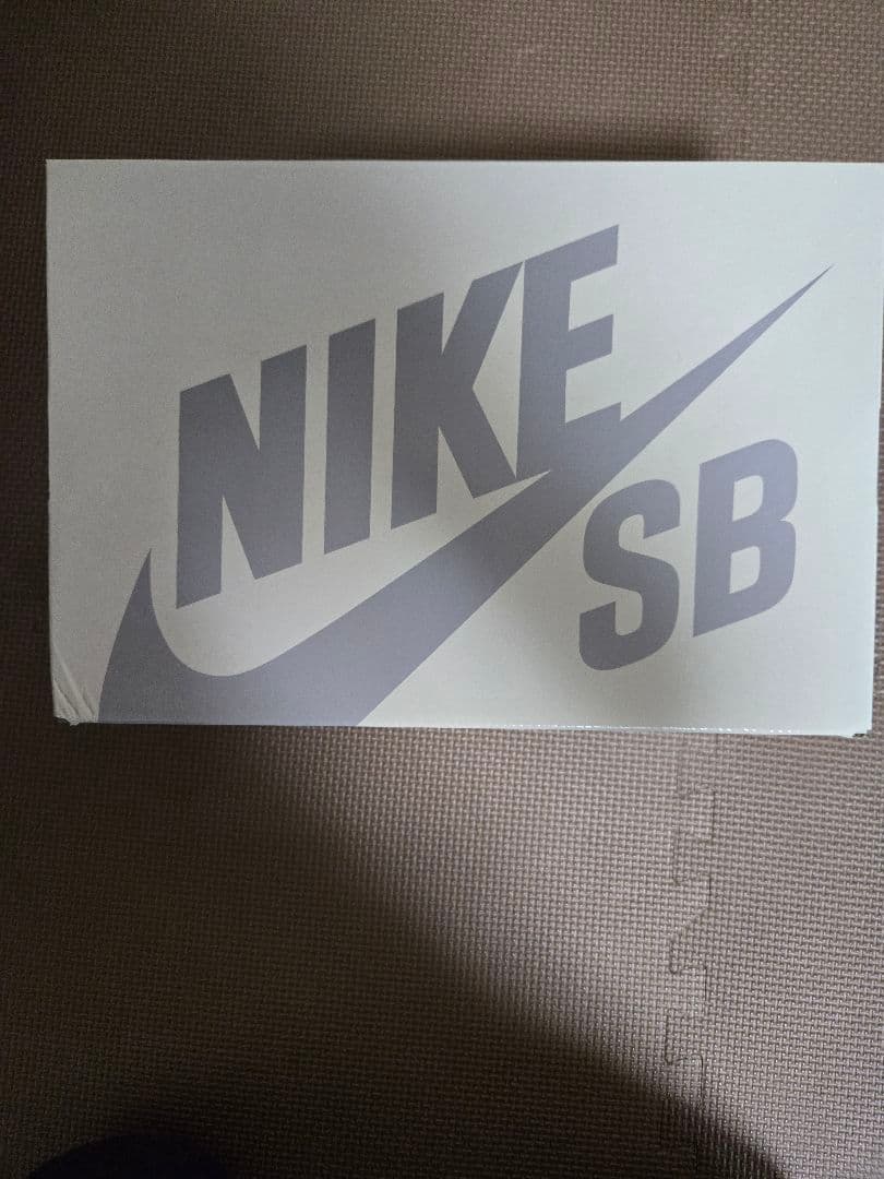 スケートボード Nike SB Dunk Low Riot Skate Bords 28.0cm