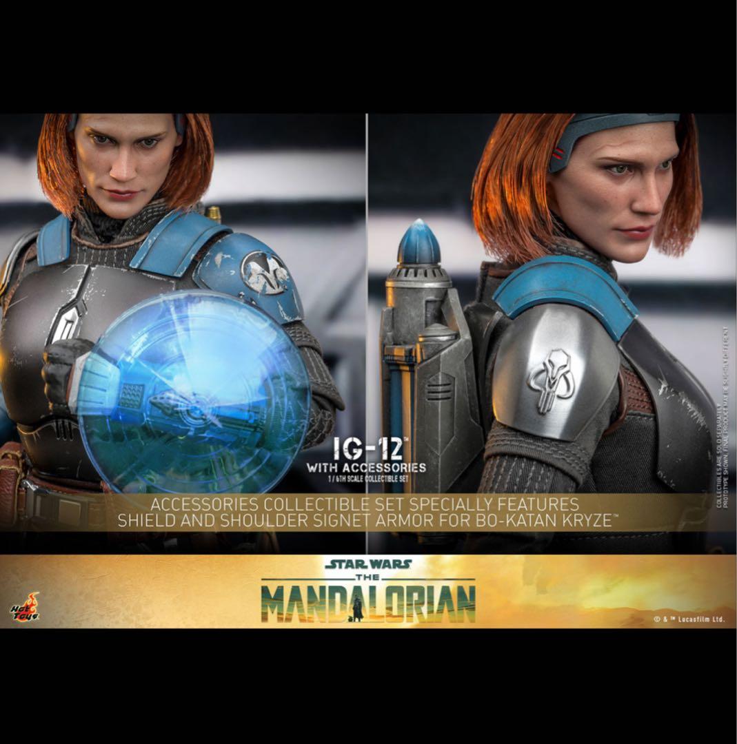 【バッキー】IG-12 アクセサリーセット ＆　ボーナスアクセサリー台座