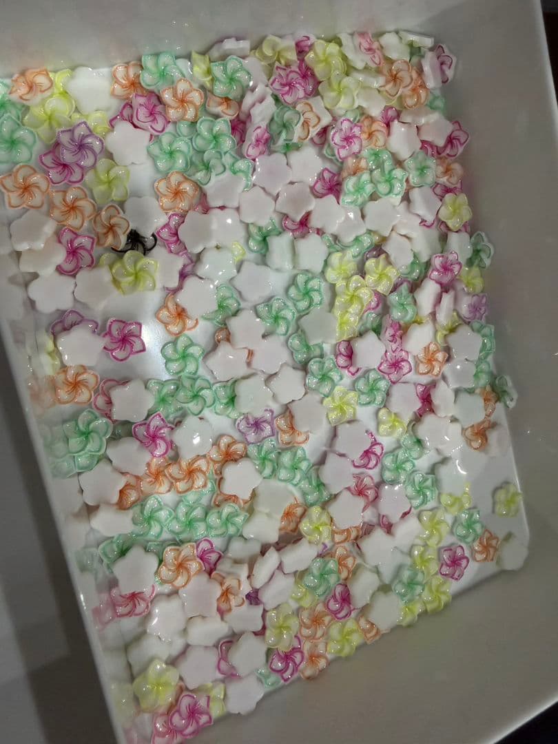 ☺︎︎めんだこ☺︎︎