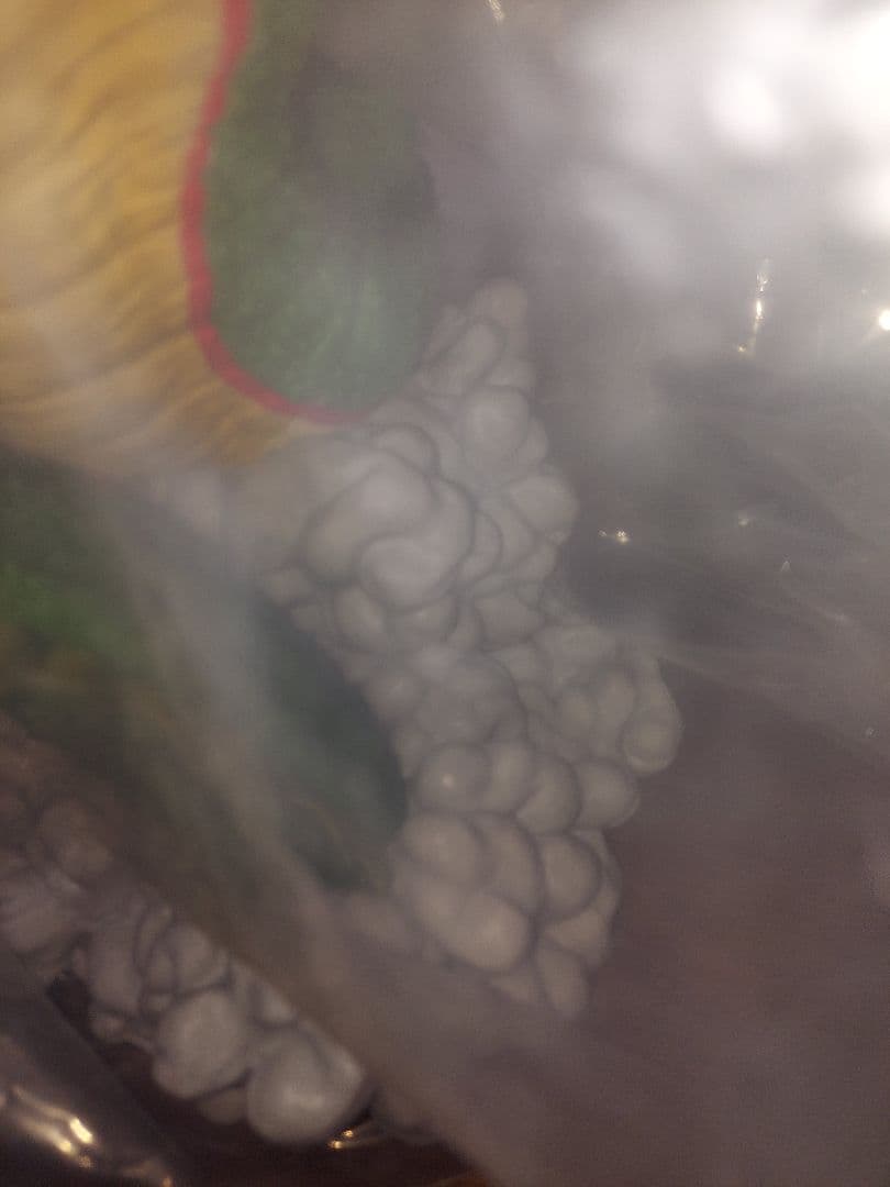 【国内正規品】ドラゴンボール一番くじ　ラストワン賞　ポルンガ