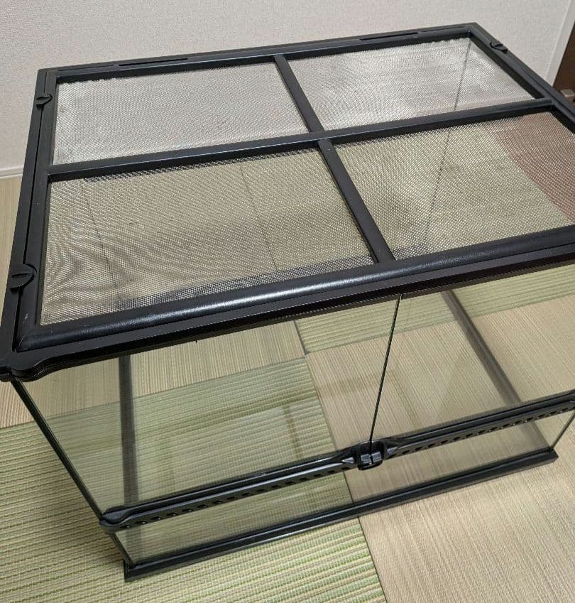 グラステラリウム 6045