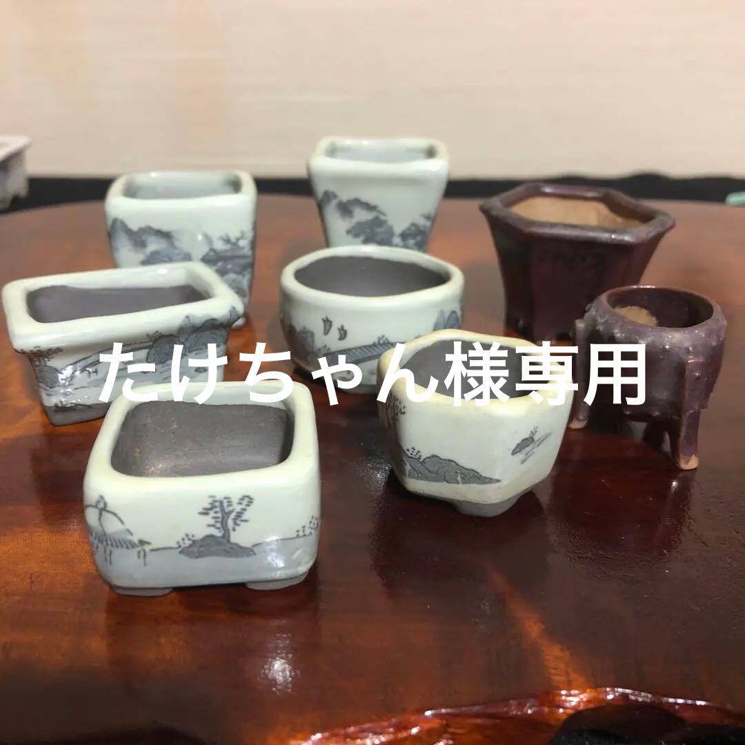 小品盆栽　サボテン　植物鉢 8点組　絵柄6点　小餅庵2点