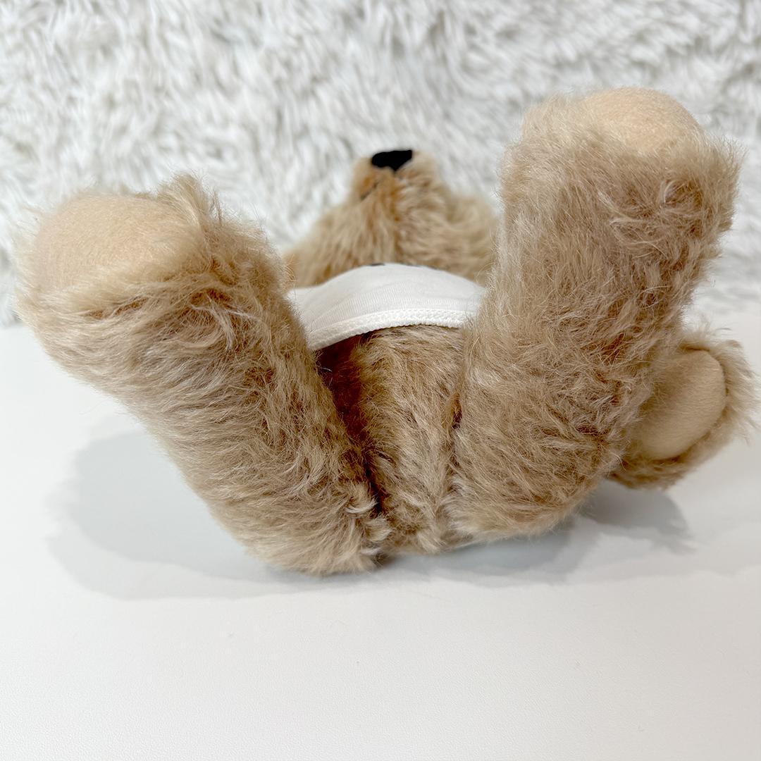 入手困難 シュタイフ Steiff RILY 今市隆二 コラボ テディベア 白T