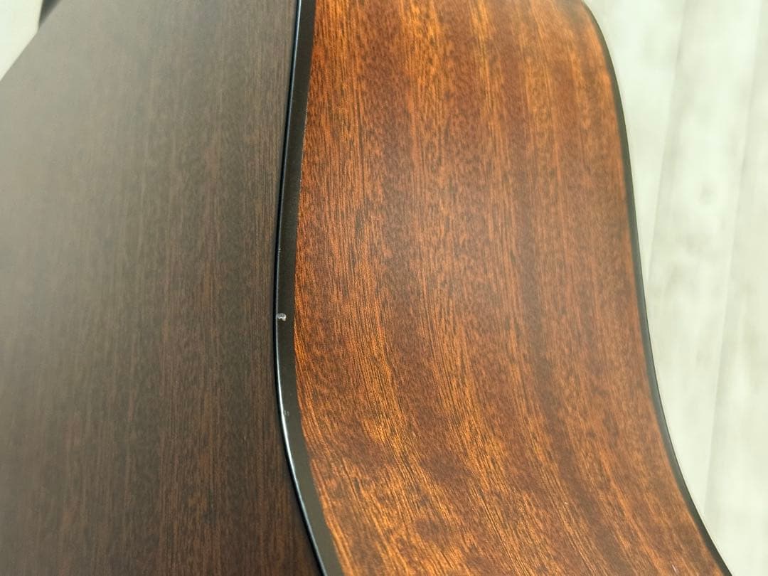 【ヒデマロ】エレアコ Martin D-10E