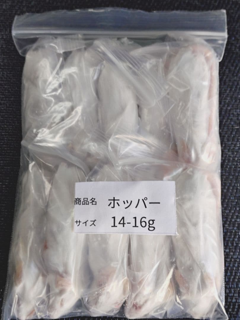 W　送料無料 冷凍マウスリタイア50匹ホッパー50匹