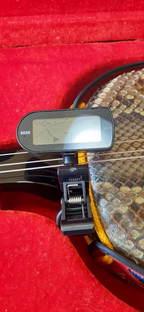 高級品沖縄三線豪華セット①☆ケース付属品多数☆両面本ヘビ革本蛇革リアルスネーク